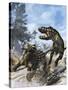 Ankylosaurus Hits Tyrannosaurus Rex with it's Clubbed Tail in Self-Defense-Stocktrek Images-Stretched Canvas