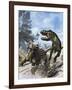 Ankylosaurus Hits Tyrannosaurus Rex with it's Clubbed Tail in Self-Defense-Stocktrek Images-Framed Art Print