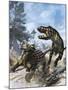 Ankylosaurus Hits Tyrannosaurus Rex with it's Clubbed Tail in Self-Defense-Stocktrek Images-Mounted Art Print