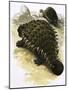 Ankylosaurus-Francis Phillipps-Mounted Giclee Print