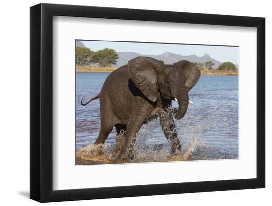 Premium Photographic Print, , large