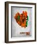 Ann Arbor Michigan-NaxArt-Framed Art Print