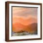 Brown Frame