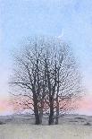 Swithland Oak, 2014-Ann Brain-Giclee Print