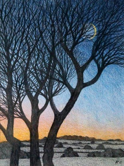 Premium Giclee Print, , large