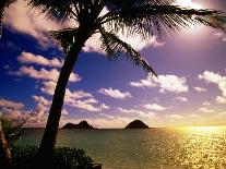 Silhouette of Hula Dancer on Waikiki Beach at Sunset, Waikiki, U.S.A.-Ann Cecil-Photographic Print