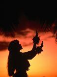 Silhouette of Hula Dancer on Waikiki Beach at Sunset, Waikiki, U.S.A.-Ann Cecil-Photographic Print