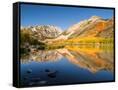 Canvas Black