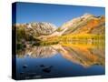 Stretched Canvas