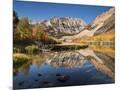 Wood Mount