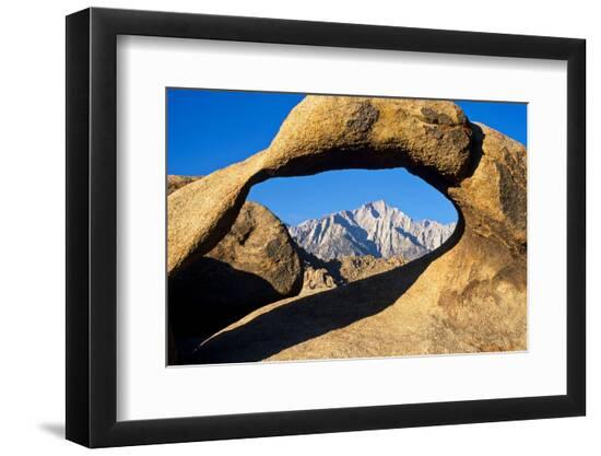 Premium Photographic Print, , large