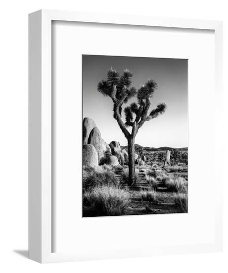 Framed Photographic Print, , large