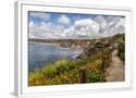 Chelsea White