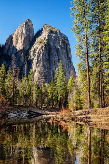 Premium Photographic Print, , large