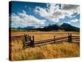 Stretched Canvas