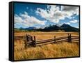 Canvas Black