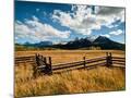 Wood Mount