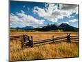 Wood Mount