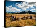 Canvas Black