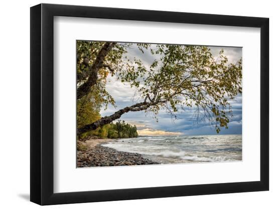 Premium Photographic Print, , large
