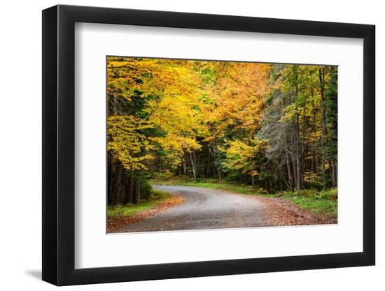 Premium Photographic Print, , large