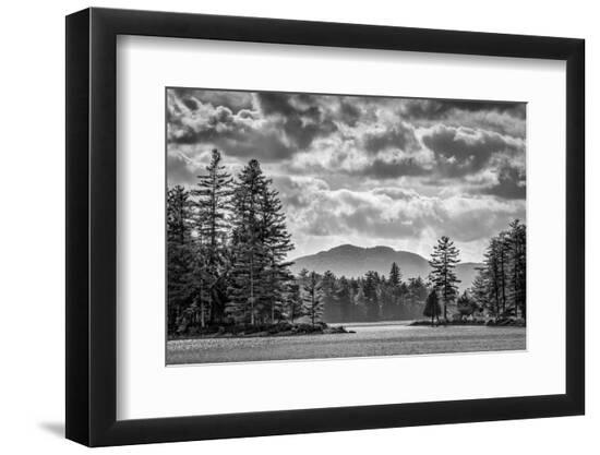 Premium Photographic Print, , large