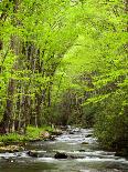 USA, Tennessee, Great Smoky Mountains National Park, Spring Reflections on Little Pigeon River-Ann Collins-Photographic Print