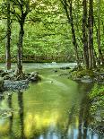 USA, Tennessee, Great Smoky Mountains National Park, Spring Reflections on Little Pigeon River-Ann Collins-Photographic Print