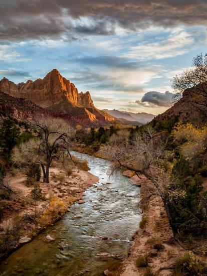 Premium Photographic Print, , large