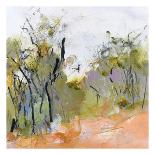 Loop Trail Through Swamp Oak Woodland-Ann Gordon-Art Print