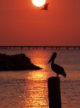 APTOPIX Pontchartrain Sunset-Ann Heisenfelt-Framed Photographic Print