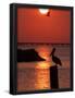 Essential Black