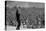 Ann Margret Entertains Thousands of Troops in Danang, Vietnam, Winter 1968-69-null-Stretched Canvas