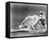 Ann-Margret-null-Framed Stretched Canvas