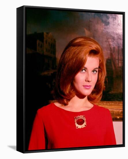 Ann-Margret-null-Framed Stretched Canvas