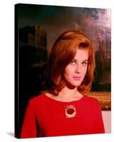 Ann-Margret-null-Stretched Canvas