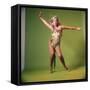 Ann-Margret-null-Framed Stretched Canvas