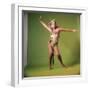 Ann-Margret-null-Framed Photo