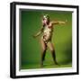 Ann-Margret-null-Framed Photo