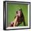 Ann-Margret-null-Framed Photo