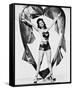 Ann Miller-null-Framed Stretched Canvas