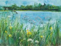 Summer Meadow-Ann Oram-Giclee Print