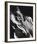 Ann Sheridan-null-Framed Photo