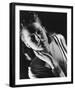 Ann Sheridan-null-Framed Photo