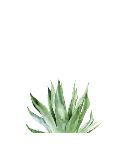 Agave II-Ann Solo-Art Print