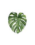 Palm Leaf I-Ann Solo-Mounted Art Print