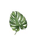 Green Leaf-Ann Solo-Laminated Art Print