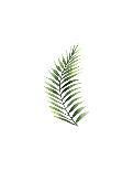 Palm Leaf I-Ann Solo-Mounted Art Print