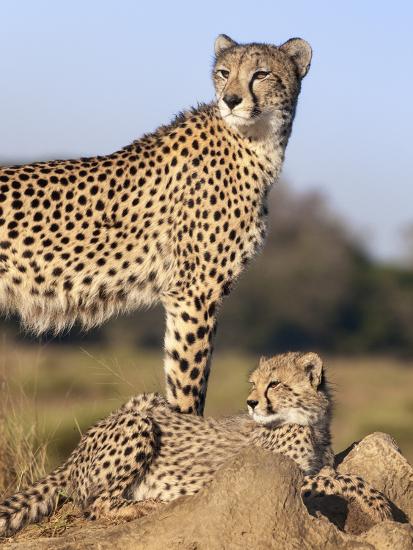Premium Photographic Print, , large