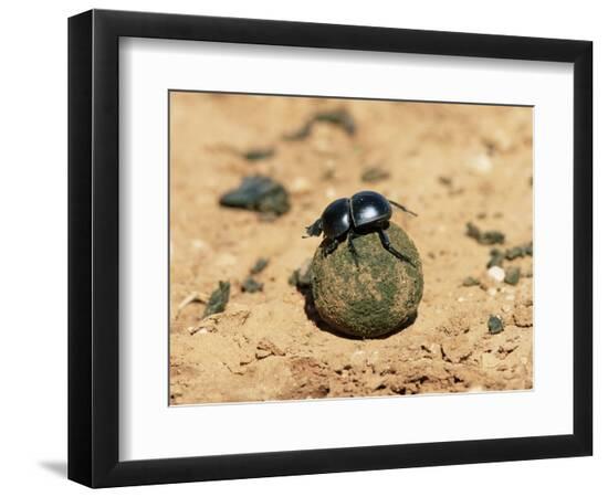 Premium Photographic Print, , large